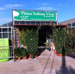 Vivai Pinna Solinas Srl Vivaio Fiori E Piante, Sassari orari di apertura