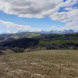 Agriturismo Il Melograno, Sant'Angelo in Pontano orari di apertura