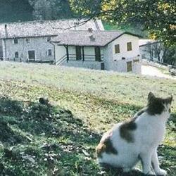 Agriturismo Colle Del Capitano, Monteleone di Spoleto orari di apertura