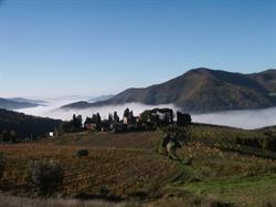Azienda Agricola Frascole, Dicomano orari di apertura
