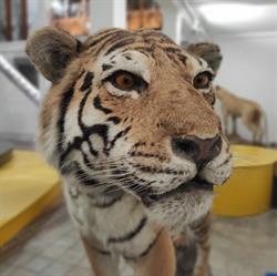 Museo Di Zoologia, Catania orari di apertura