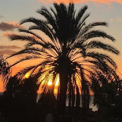 B & B Porto Ulisse, Catania orari di apertura