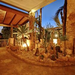 Felline"in Bed&breakfast", Alliste orari di apertura