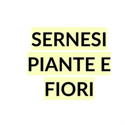 Sernesi Piante e Fiori, Prato orari di apertura