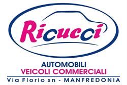 Ricucci Automobili, Manfredonia orari di apertura