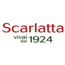 Centro Piante Scarlatta dal 1924, Biella orari di apertura