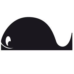 Mobydick Piccole Grandi Idee Alonzi Loredana, Sora orari di apertura