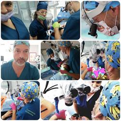Studio Dentistico Lanzoni dr. Alessandro, Gatteo orari di apertura