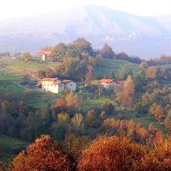 Agriturismo la Sereta Pisani Roberto, Fraconalto orari di apertura