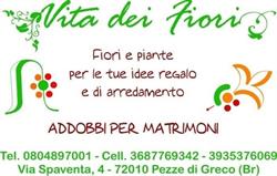 Vita Dei Fiori Di Cesario Vita Fiorista, Pezze di Greco orari di apertura