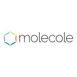 Molecole Web Agency, Roma orari di apertura