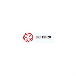 Renzo Bigi Commercialista, Reggio Emilia orari di apertura