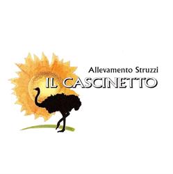 Allevamento Struzzi Il Cascinetto, Salvirola orari di apertura