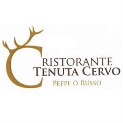 Tenuta Cervo Antica Osteria Peppe 'O Russo, Aversa orari di apertura