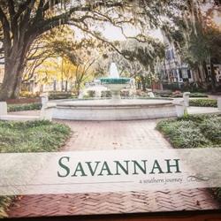 M p Consulting Viaggi di Panico Maria, Acerra orari di apertura