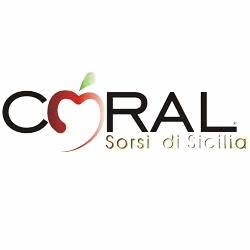 Coral Sorsi di Sicilia, Gagliano Castelferrato orari di apertura