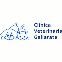 Clinica Veterinaria Gallarate Dr. Ferre', orari di apertura