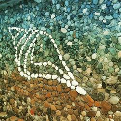 Lido La Conchiglia, Salerno orari di apertura