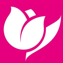 Il Tulipano S.N.C. Di Il Tulipano S.R.L., Maniago orari di apertura