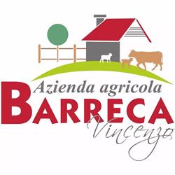 Barreca Vincenzo Azienda Agricola, Geraci Siculo orari di apertura