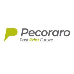 Arti Grafiche Pecoraro - Tipografia, Altamura orari di apertura
