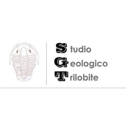 Studio Geologico Trilobite, Gropello Cairoli orari di apertura