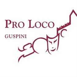 Associazione Turistica Pro Loco, Guspini orari di apertura