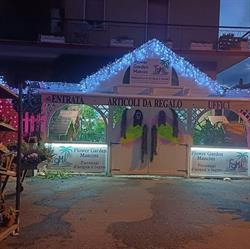 Flower Garden Mancini Srl, Ladispoli orari di apertura