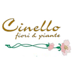 Vivaio Fiori e Piante Garden Cinello, Asolo orari di apertura