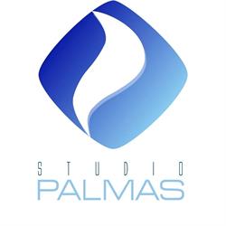 Studio Palmas S.a.s Fisioterapia, Assemini orari di apertura