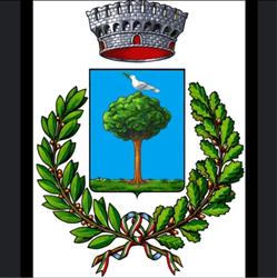 Comune Di Minerbe, orari di apertura