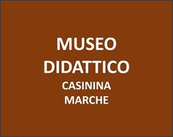 Museo Storico Della Linea Gotica Sassocorvaro Auditore, Casinina - Orari di apertura