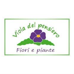 Fioreria Viola del Pensiero, Mogliano Veneto orari di apertura