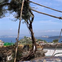 La Vigna di Alberto, Barano d'Ischia orari di apertura