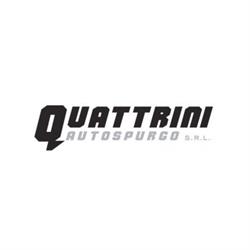 Autospurgo Quattrini Quattrini Autospurgo S.r.l, Mondolfo orari di apertura