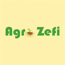 Agro Zefi S.a.s. Di Spinosa V. & C., Mondragone orari di apertura