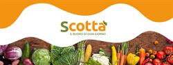 Supermercato Scotta' (S.r.l.), San Vendemiano orari di apertura