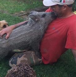 Az. Agr. Il Torrino Di Bibbiani Mauro, Montaione orari di apertura
