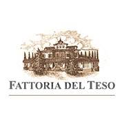 Fattoria del Teso S.r.l Vendita Vini Pregiati, Montecarlo orari di apertura