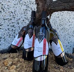 Le Conche Azienda Agricola di Sposato Vincenzo, Bisignano orari di apertura