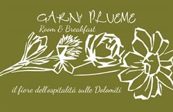 Garnì Plueme, Sauris orari di apertura
