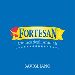 Fortesan S.p.a., Savigliano orari di apertura