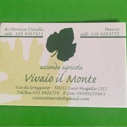 Vivaio il Monte di Monica Dinelli, Borgo San Lorenzo orari di apertura