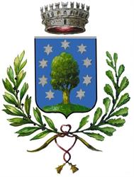 Comune Di Borgo Ticino, orari di apertura