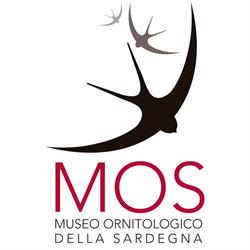Museo Ornitologico Della Sardegna, Siddi orari di apertura
