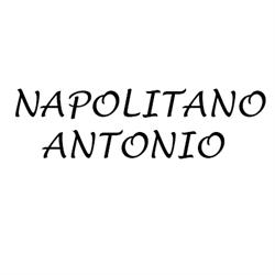 Officina Elettrauto Napolitano Antonio, Pago del Vallo di Lauro orari di apertura