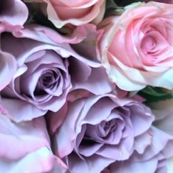 Fiorista Rosae Ross, Siziano orari di apertura
