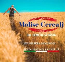 Molise Cereali S.r.l, Campomarino orari di apertura