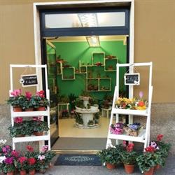 Pollice Verde, Terni orari di apertura
