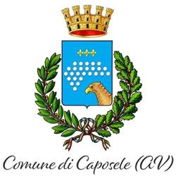 Comune Di Caposele, orari di apertura
